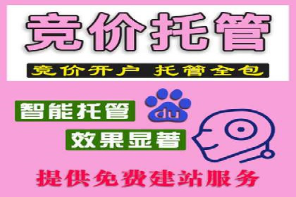 朋友圈信息流深度解析：成功案例背后的策略